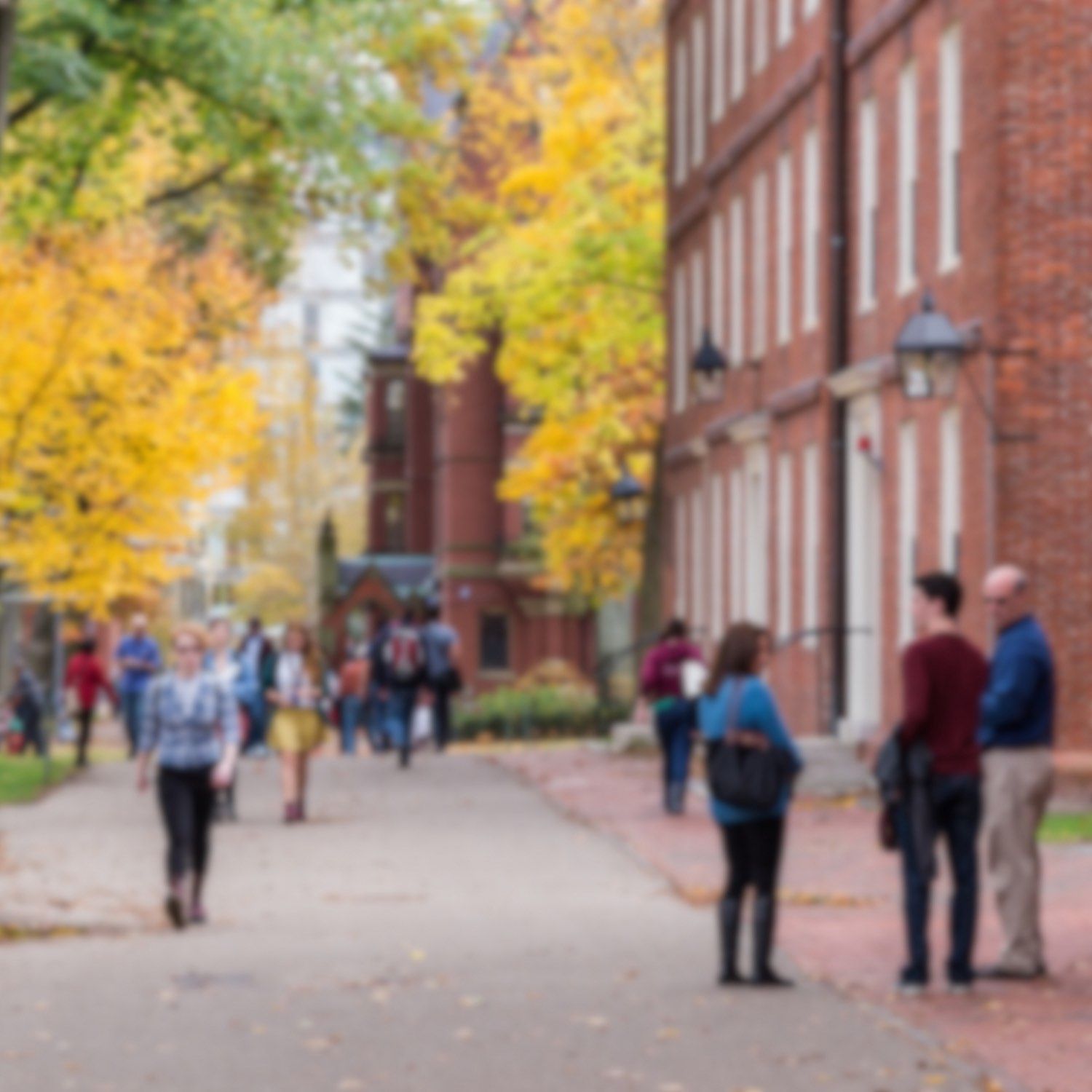 Slightly blurred image of students walking on a university campus.