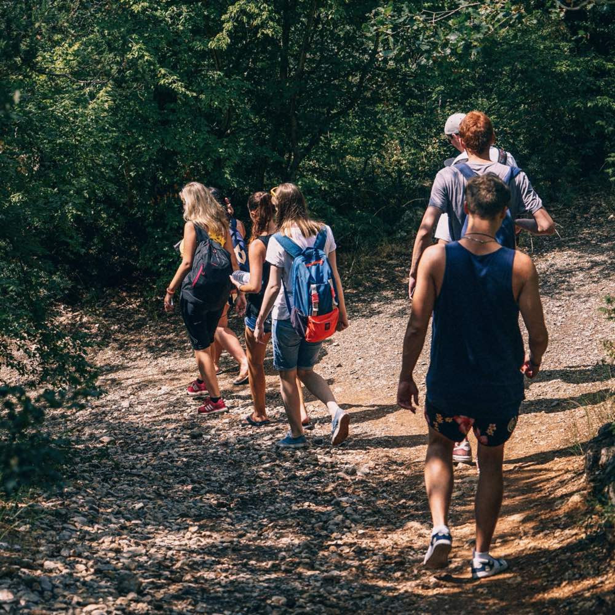 Image of a people walking in the woods.