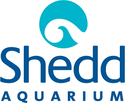 shedd