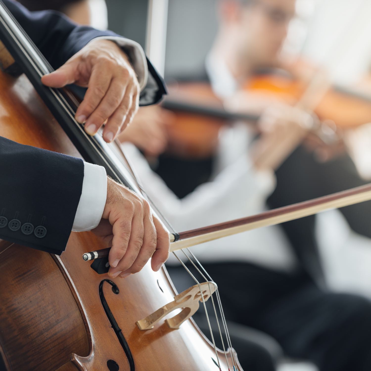 Two hands playing a cello.